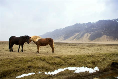  Earth Dance: An Ode to the Rhythms of Nature