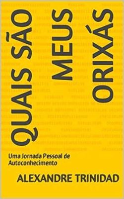  Diary of a Trader: A Quest for Meaning and Profit - Uma Jornada Pessoal de Riqueza e Autoconhecimento Através da Bolsa de Valores