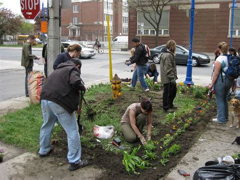  Qué Se Puede Hacer?: A Journey Through the Unexpected World of Guerrilla Gardening